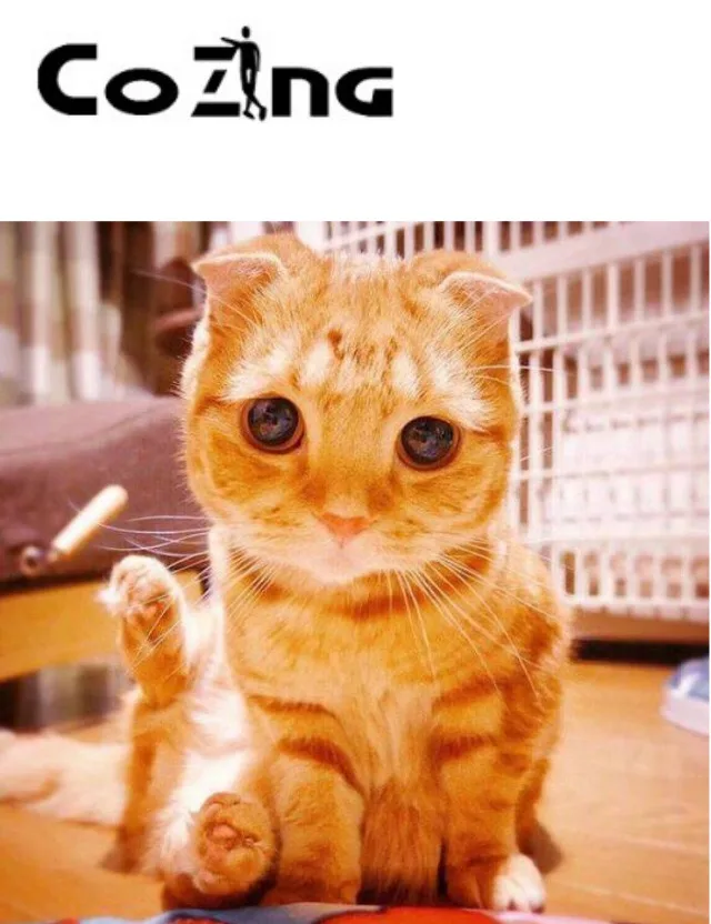 

COZING pain wound semiconductor cold laser treatment pet pain release medical device