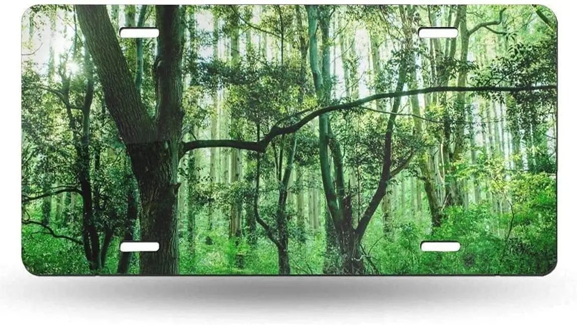 

yunsu Landscapes License Plate,car Decor Personalise Tag,Novelty Car Front License Plate Metal Aluminum Car Plate