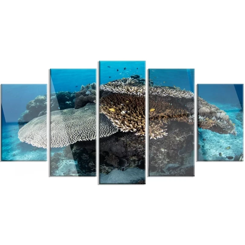 Модульные изображения рыба в национальном парке Komodo холст 5 шт. живопись