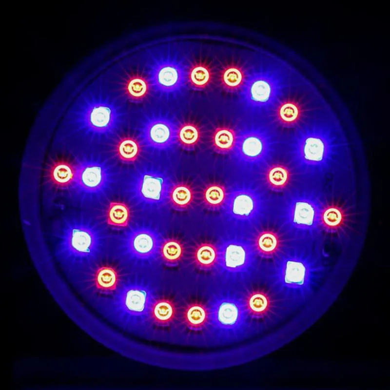 

60LED Indoor Flower Grow Plant Light Bulbs Lamp For Greenhouse Vegetable Hydroponics Systems Growth 44Red+16Blue Lights