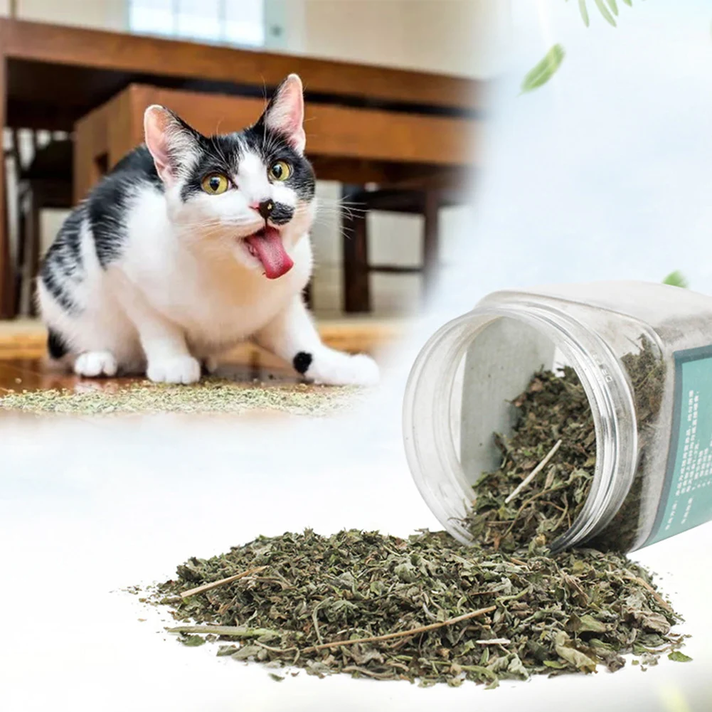 250ml Healthy Catnip Catmint Help Digestion Cats Kitten Menthol Flavor Pet Snack | Дом и сад