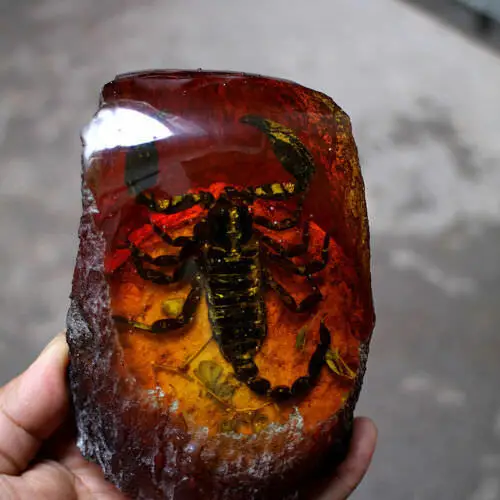 

Amber King Fossil Plants Insects Characteristics Scorpion Decorative Pieces