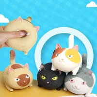 super cute cute tofu angry cat squeeze music to vent decompression ball children s new strange toys