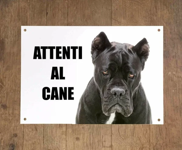 

Vintage Cane Corso Watch the Dog Mod 2 Metal Plate Sign Metal Tin Sign 8x12 Inch Retro Home Outdoor Wall Decor
