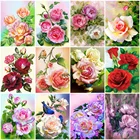 Картина по номерам на холсте, акриловая Роза