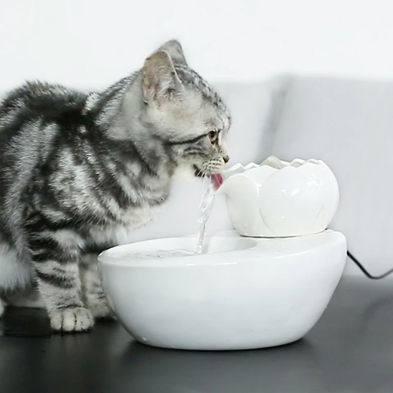 220V ПЭТ Керамика фонтан воды автоматический петля крытый фонтаны настольный мини