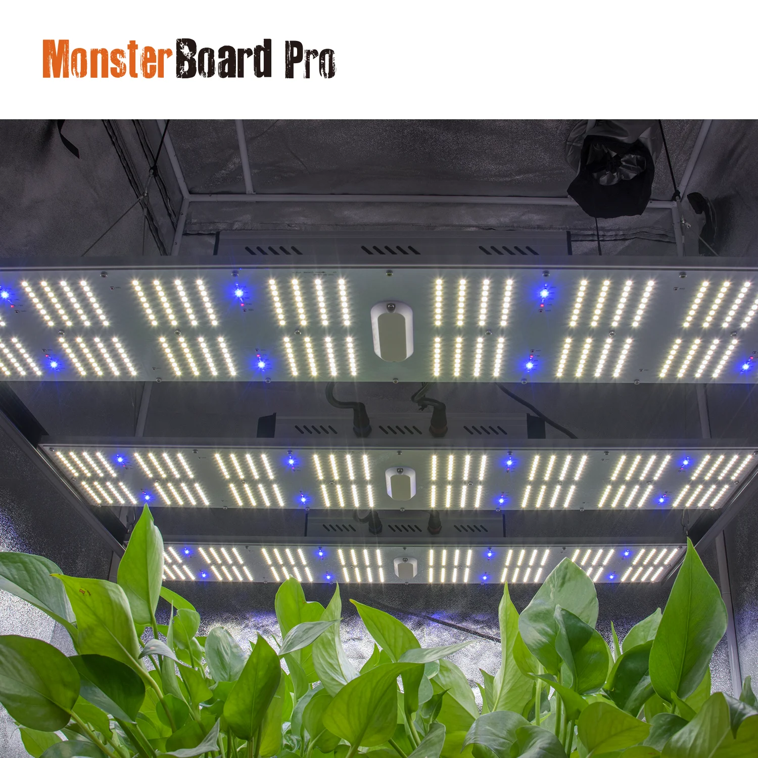 Geeklight новейший Monster Board Pro LM301H LM301B Набор для выращивания в помещении 720 Вт growlight