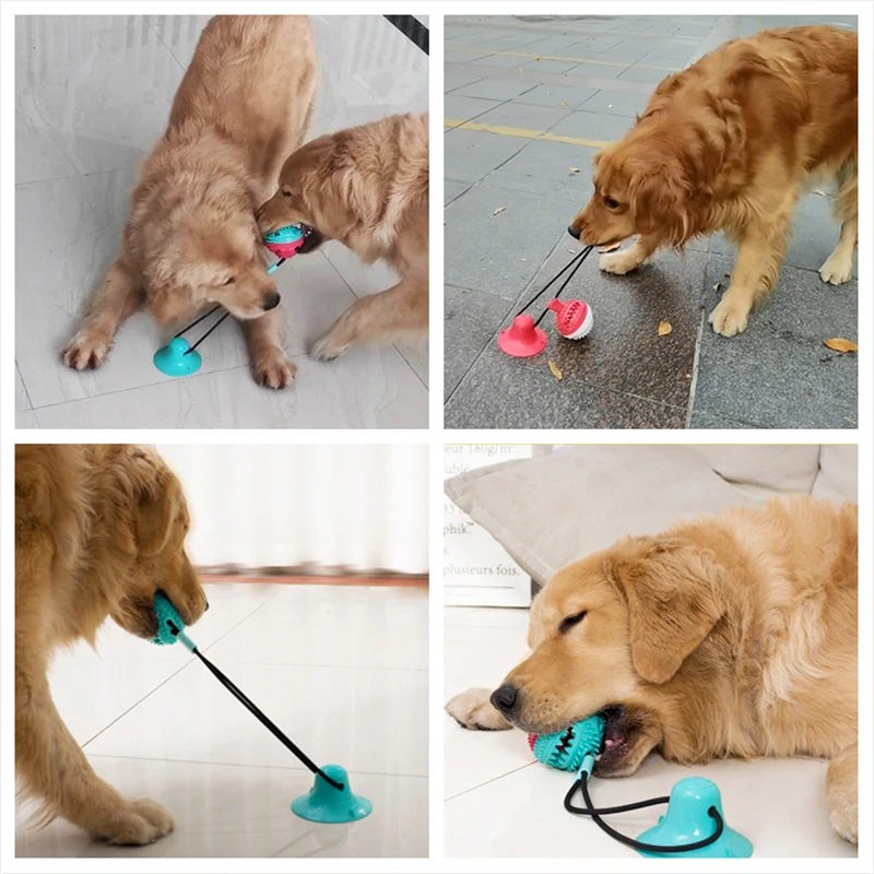 

Multifunctional Pet Dog Push Ball Toys Suction Cup Rope Dog Interactive Play Toy Rubber Dog Bite Chew Toys Teeth Cleaning Ball