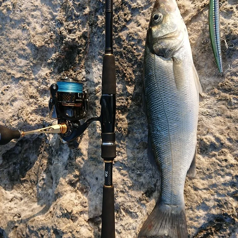 Hunthouse Tide Slim Minnow flyer175 плавающая жесткая приманка для рыбалки Морская рыбалка 175 мм 25 г/34 г ABS пластик для морской щуки