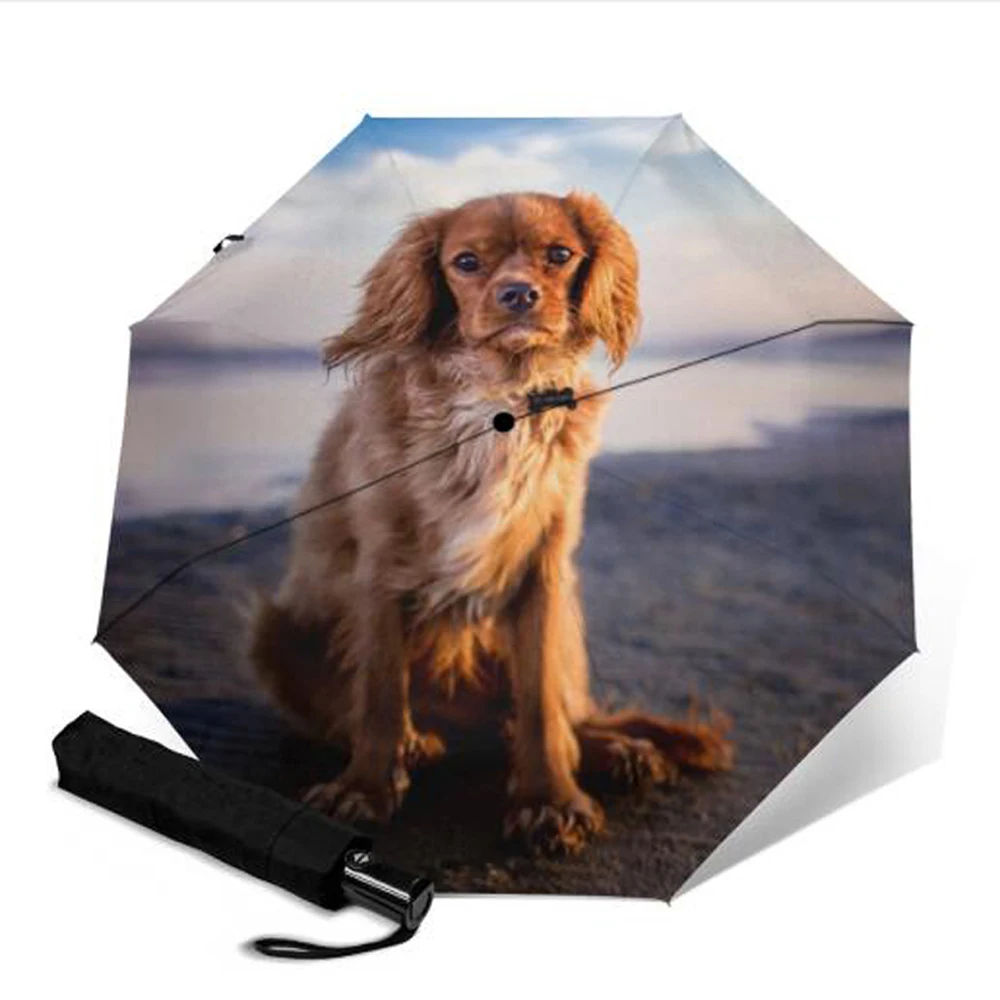 Полностью автоматические зонты тройного сложения прочные красочные