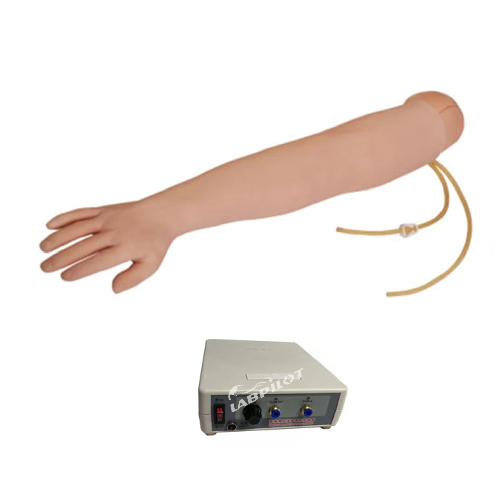 Полнофункциональный тренировочный рычаг IV Venipuncture I.M. Модель для инъекций с