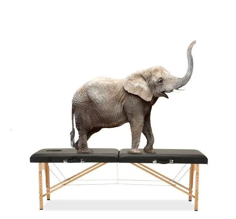 Camilla Plegable Massagetafel педикюр De Pliante Татуировка Cama Para masaje салон красоты мебель складной стул стол массажная кровать