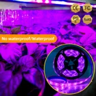 Светодиодный полный спектр Фито Лампа DC 5V аккумуляторные светодиодные фары с регулируемой яркостью USB растет светильник ленты SMD 2835 Fitolampy лампы для роста растений светодиодный светильник s для парника