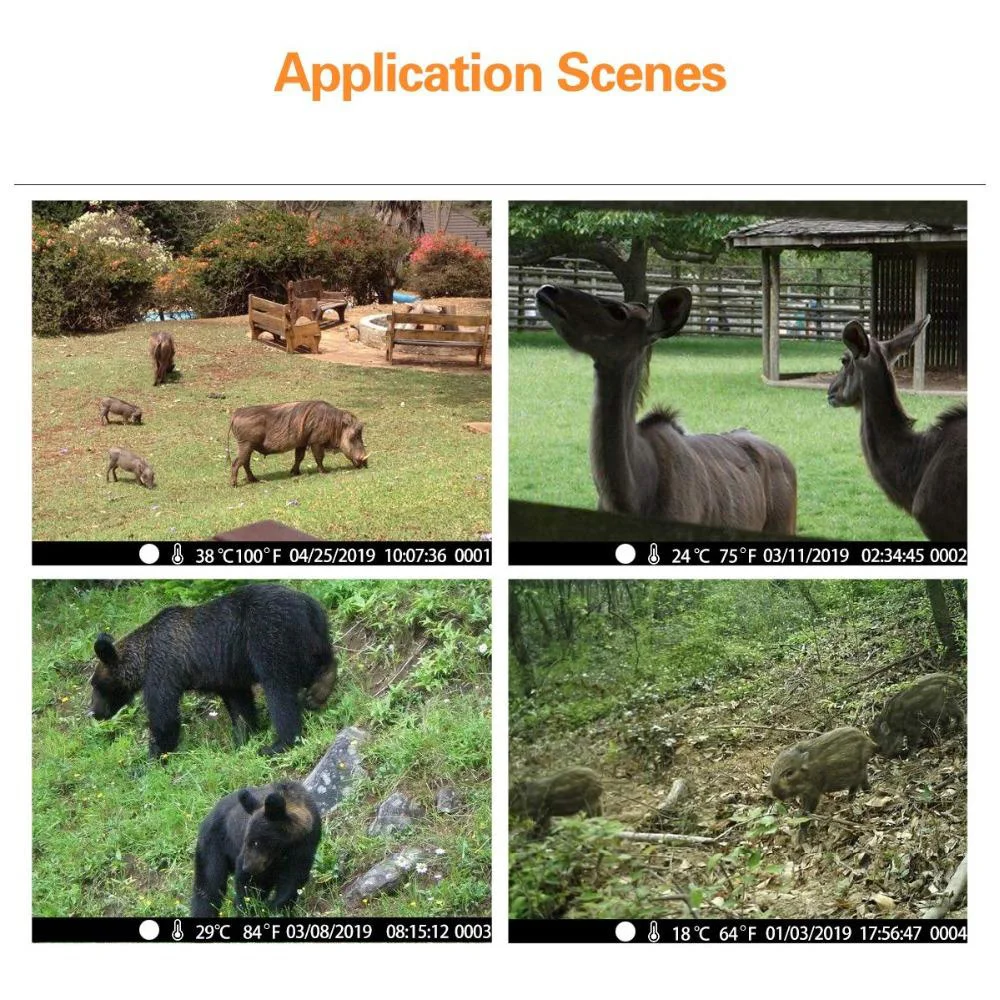 

HC 900G Trail Camera 3G Hunting 16MP 1080P Infrared Cameras Cellular Mobile Wildlife Wireless Cams With Night Vision PIR