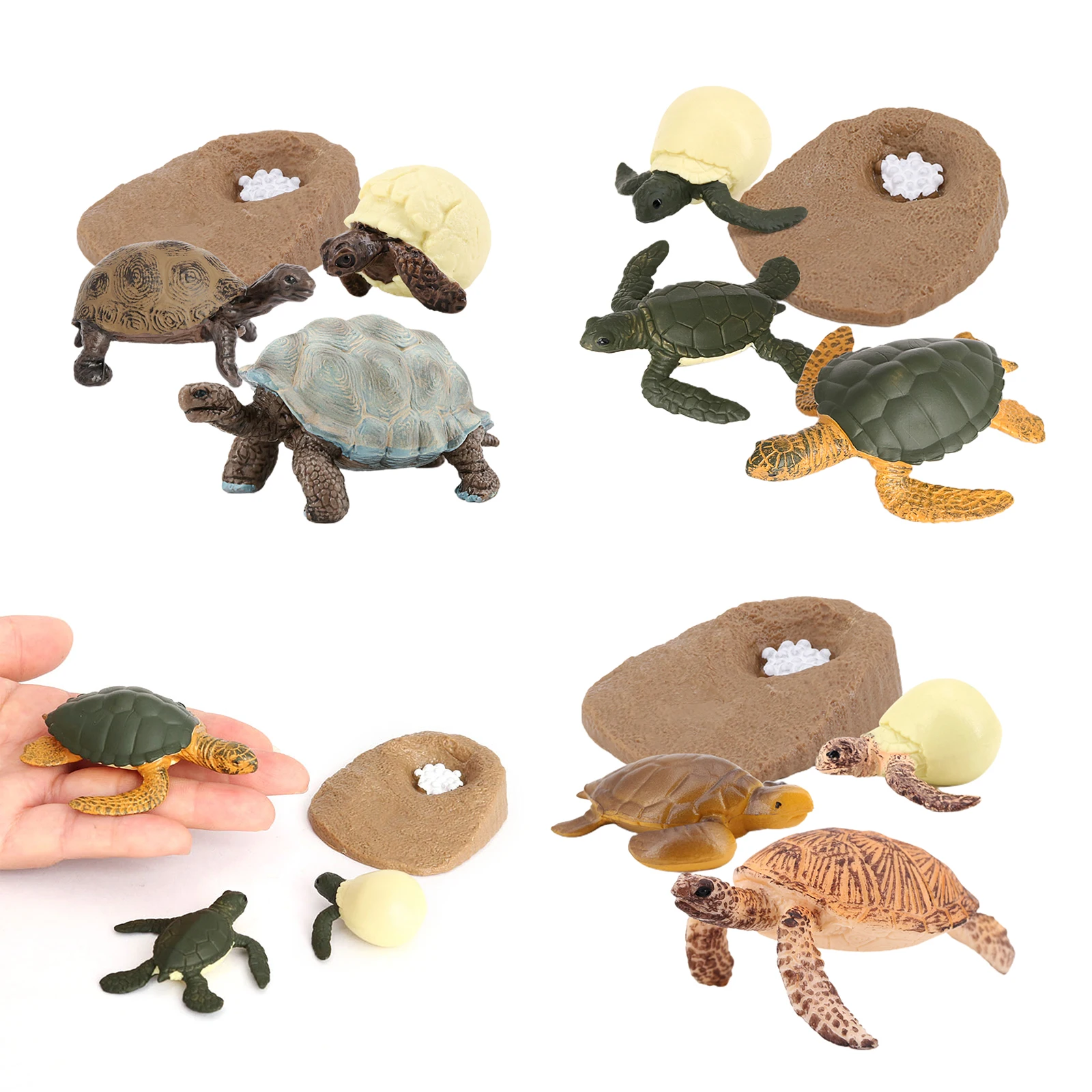 Modelo de ciclo de vida para tortuga marina, 4 etapas de crecimiento, educaci&oacute;n para ni&ntilde;os, juguetes cognitivos de Navidad-5