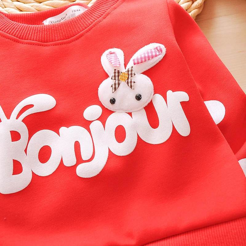 BibiCola/весенние комплекты одежды для маленьких девочек Детский спортивный костюм