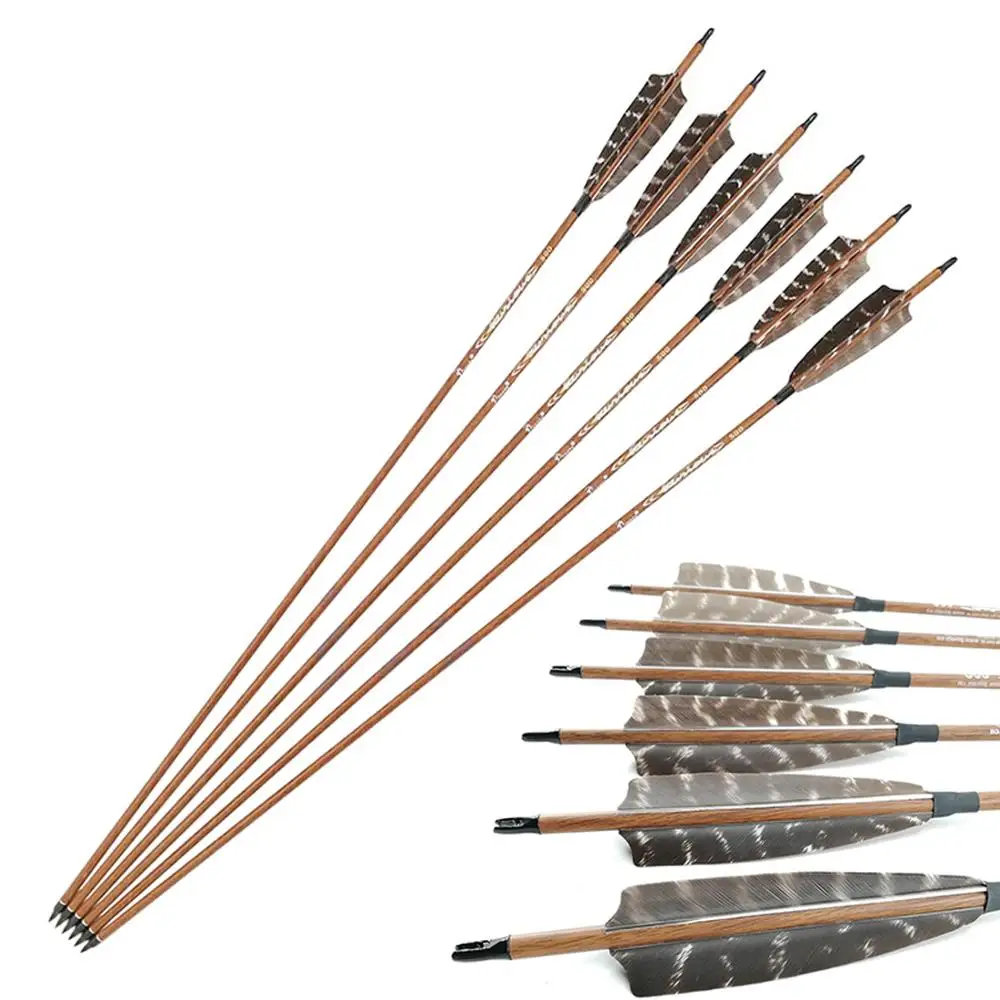 

Pinals Archery Spine 400 500 600 Pure Carbon Arrows Shaft Turkey Feather Vanes Nock for Compound Recurve Bow Longbow Hunting