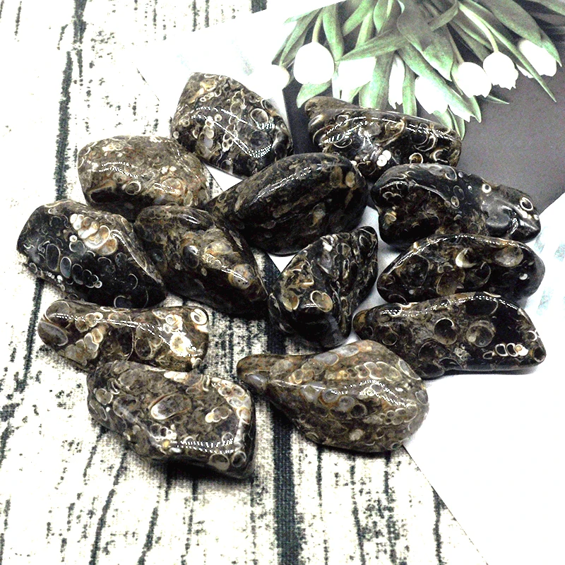 

Natural Turitella Agate Gravel Specimen Size Irregular Tumbled Stones Reiki Healing Crystals Quartz Mineral Home Aquarium Decor