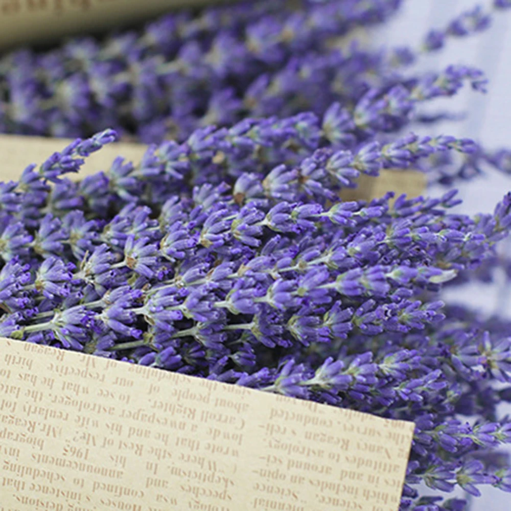 1 букет сушеных цветов лаванды с крафт бумажной упаковкой домашнее