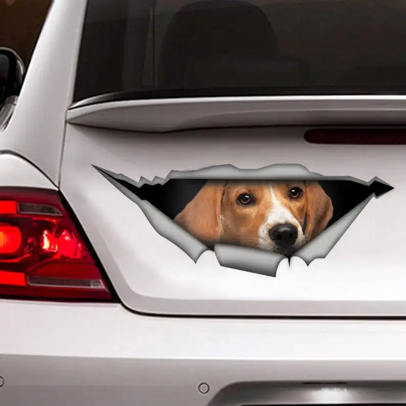 

2021 Beagle car decal, Vinyl decal, car decoration, funny decal, dog decal, pet decal
