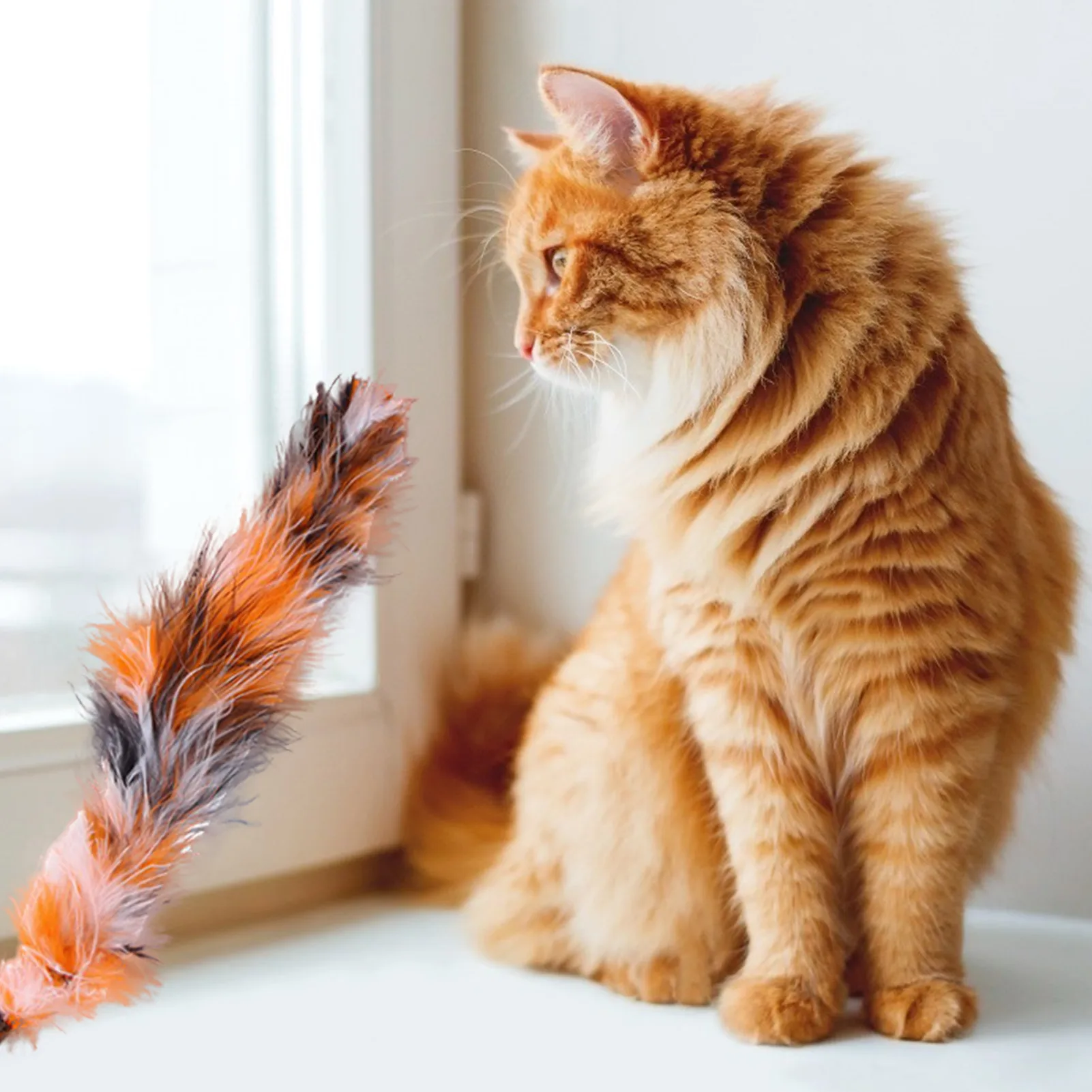 

20 Cat Toys Kitten Toys Assortments, Cat Feather Teaser - Wand Interactive Feather Toy Fluffy Mouse, Crinkle Balls Pet Product