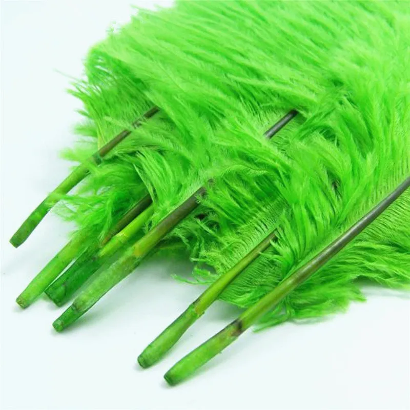 

50Pcs/Lot Apple Green Ostrich Feathers for Crafts 15-70cm Feathers Ostrich Plumes Feathers Wedding Feathers Decoration Carnival