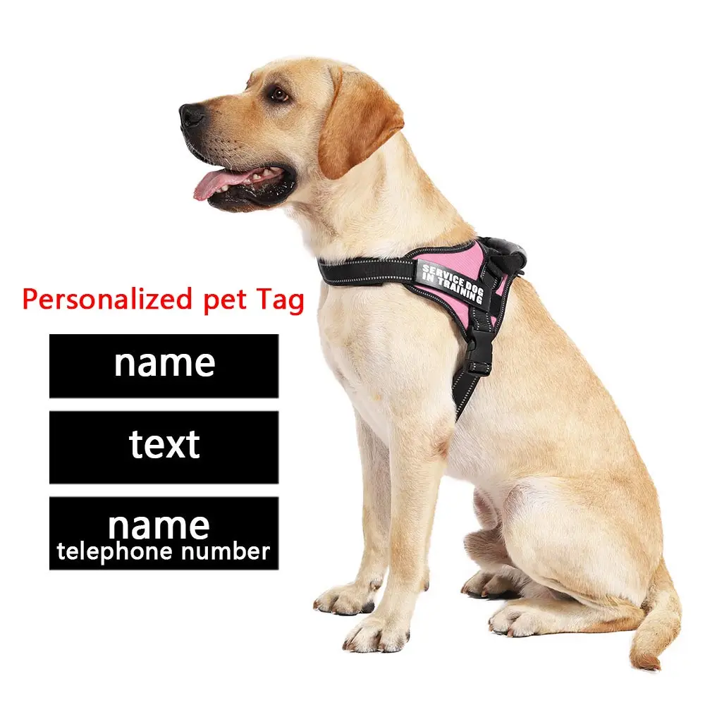 Dadugo 2 Pcs Personalized Dog Tag Dog Name Velcro Custom For Dog Harness Custom Dog Tag Pet Harness Name Tags