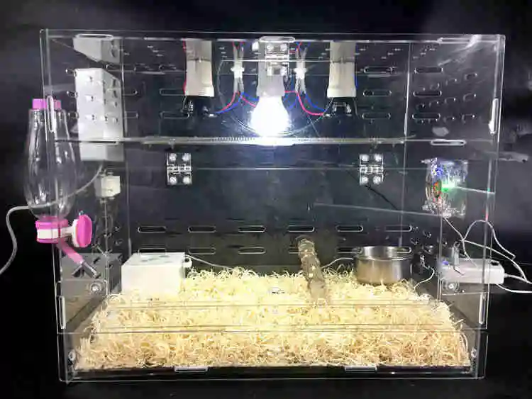 15% LK688 умный контроль температуры птичий инкубатор изоляционный ящик для