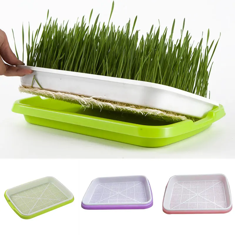 Гидропоника овощей поднос для рассады Sprout инструмент Soilless культивирование