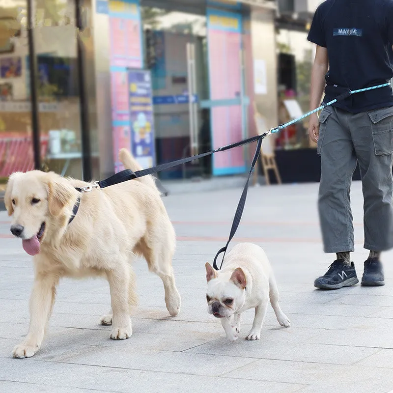 

Dog Harness Hands Free Leash Dogs Walk Leashes 2 Dogs Harness Reflective Chain Walk Dogs Chain Double Head Dog Harnesses Leads