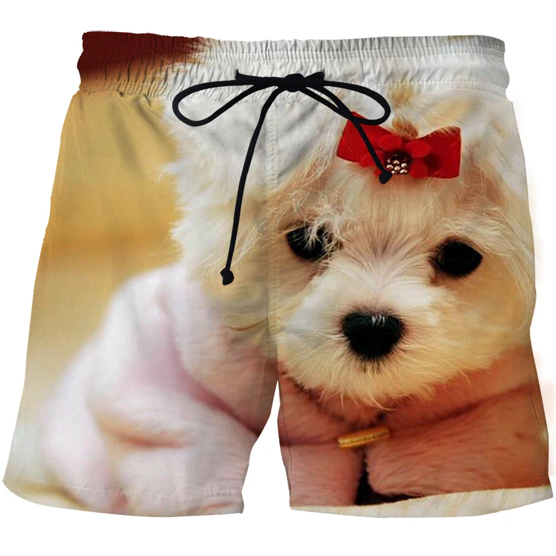 

New gleamy Cat 3D Printed Shorts Men Summer Swimming Trunks Men's Sports Pants Shorts Cool Animal Board Shorts Fashion Shorts