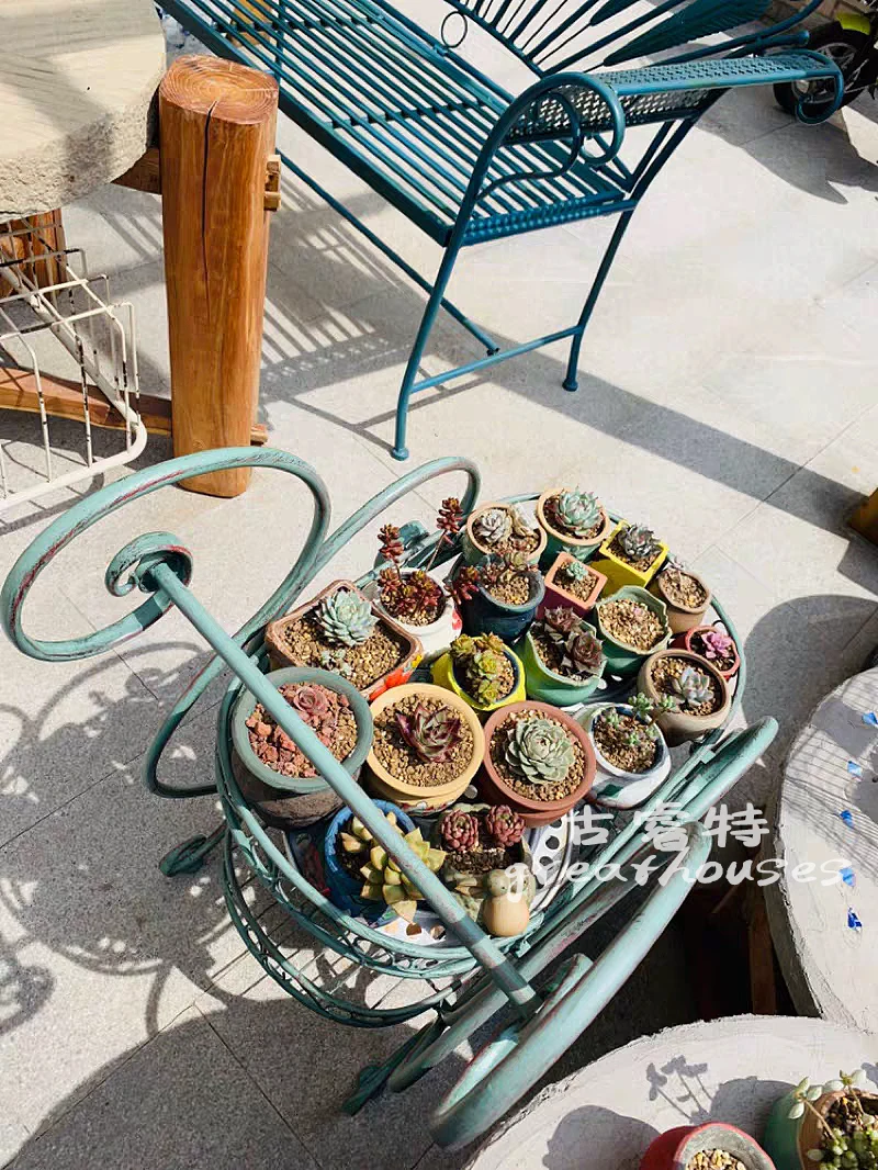 

European Tieyi green automobile restaurant flowers fleshy flowers small flowers European frame rear wheel tractor