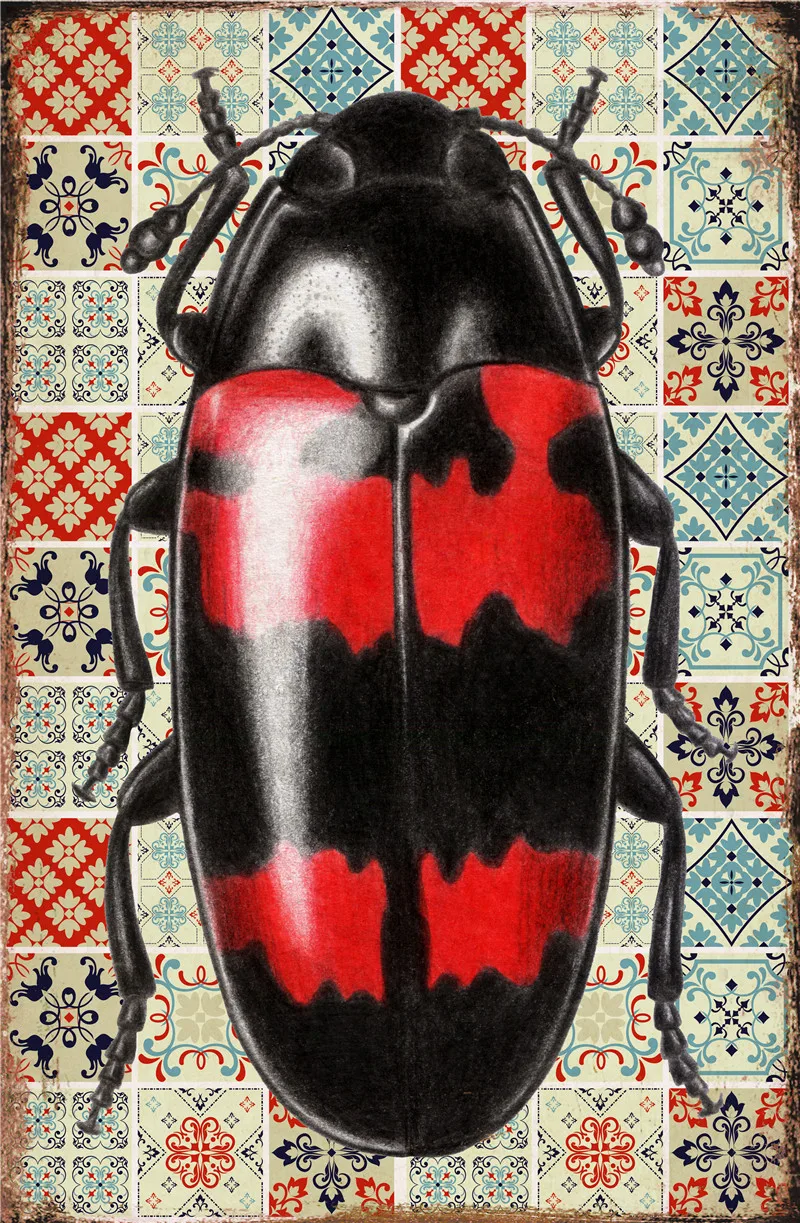 

Бабочки, аксессуары для украшения дома, жуки, наклейки, металлические пластины, декор для комнаты, насекомые, жестяной винтажный знак