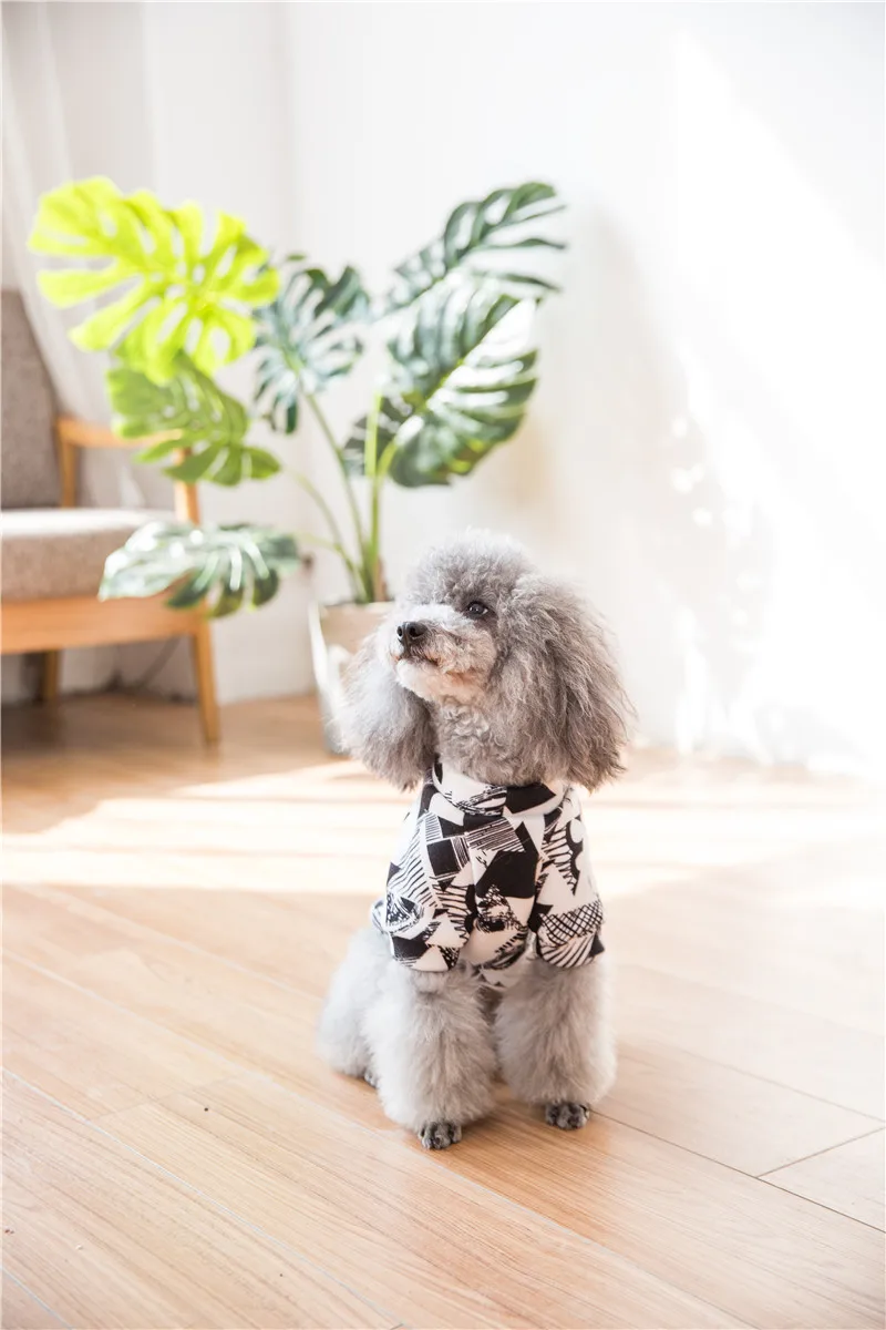 Hipidog/Новинка; Лидер продаж; модные толстовки с капюшоном для собак; одежда для щенков; сезон осень-зима;