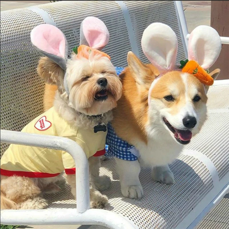 Забавная шапочка для собак и кошек милый костюм теплая с кроликом аксессуары