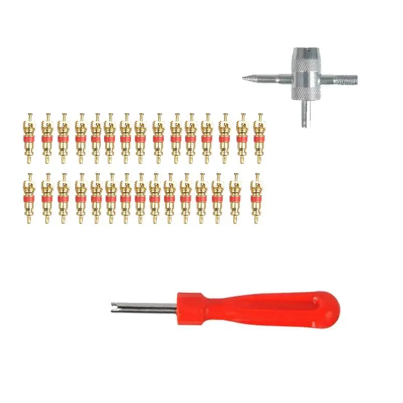 

Portable 30pcs Brass Valve Cores Durable Metal Tire Valve Core Remover 4 Way Tool for Car Bike Bicycle Motorcycle Tire Repair