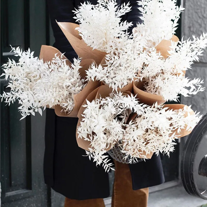 Высушенные цветы в скандинавском стиле натуральные листья серебряного кедра для