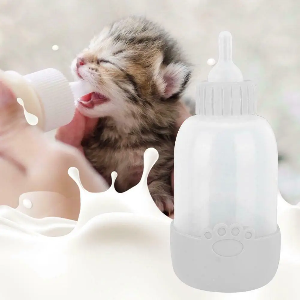 Набор щеток для кормления собак щенков котят корм небольших домашних животных