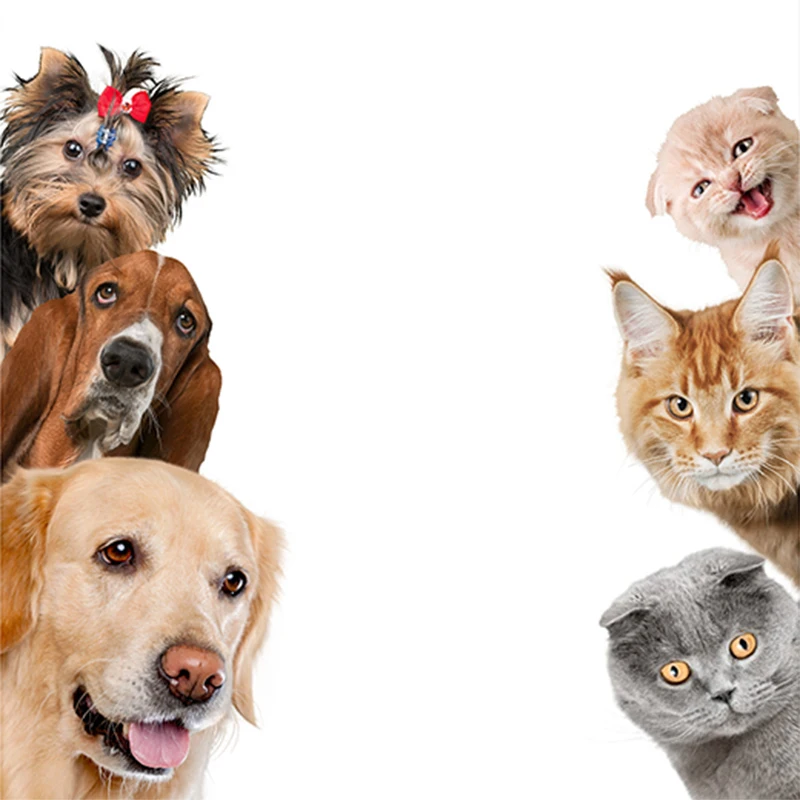 3D Наклейка на стену в ванную туалете детской комнате | Дом и сад