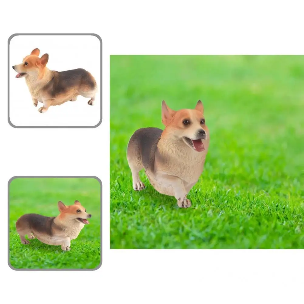 

Corgi Model Durable Portable Fine Workmanship Miniature Corgi Dog Ideal Gifts Corgi Statue for Students