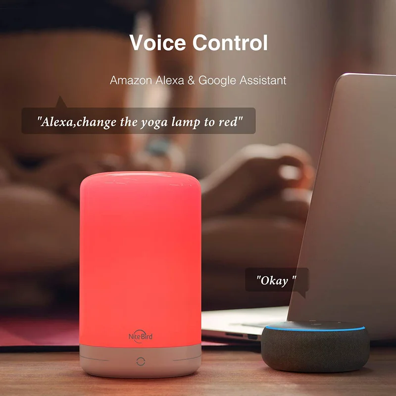 

Nite Bird Compatible With Gosund APP Tuya APP WiFi Smart Atmosphere Night Light European Standard Adapter For Alexa Google Home