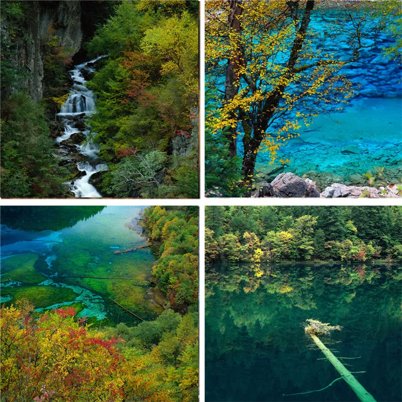 Nitree Виниловый фон для фотостудии фотосъемки с изображением природных пейзажей