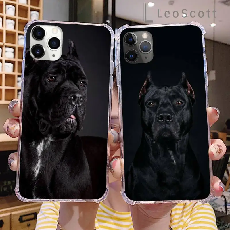 

Pitbull pet cute cartoon dong animal Phone Cases For iphone 12 5 5s 5c se 6 6s 7 8 plus x xs xr 11 pro max capa shell cover