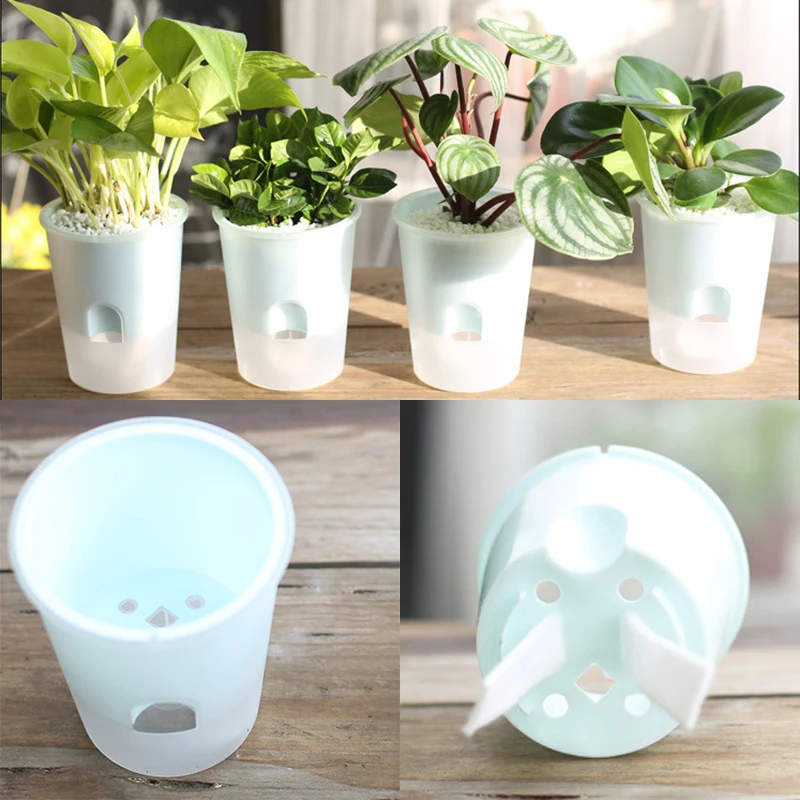 Самополивающиеся горшки на присоске цветочные травяные для растений