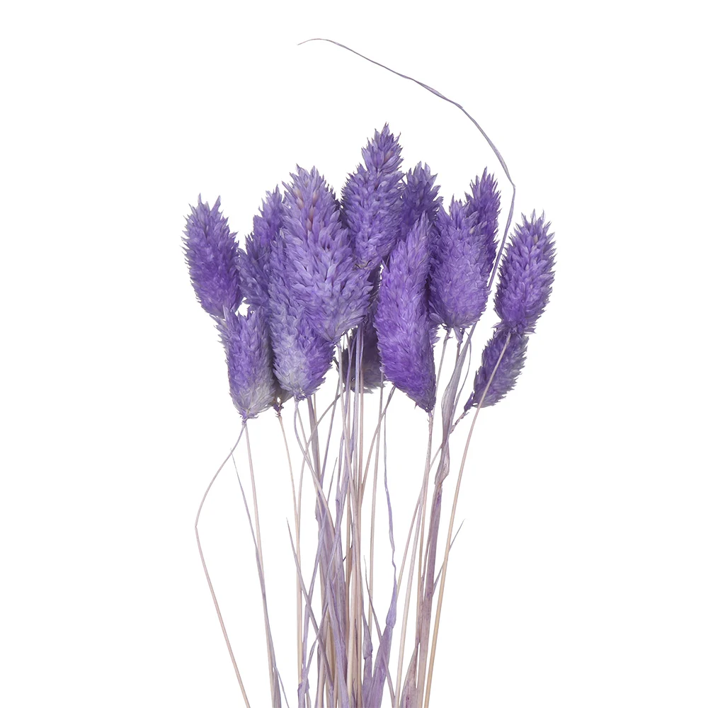 Лидер продаж 20 шт./лот Натуральные сушеные цветы с кроличьим хвостом букет
