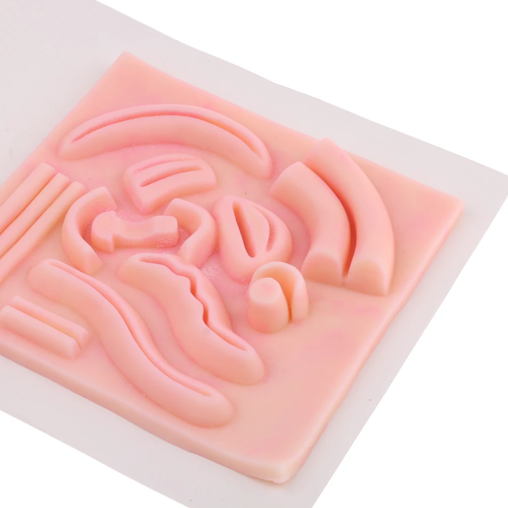 

17x26cm Stomach Suture Model Suture Repeated Training Pad Display