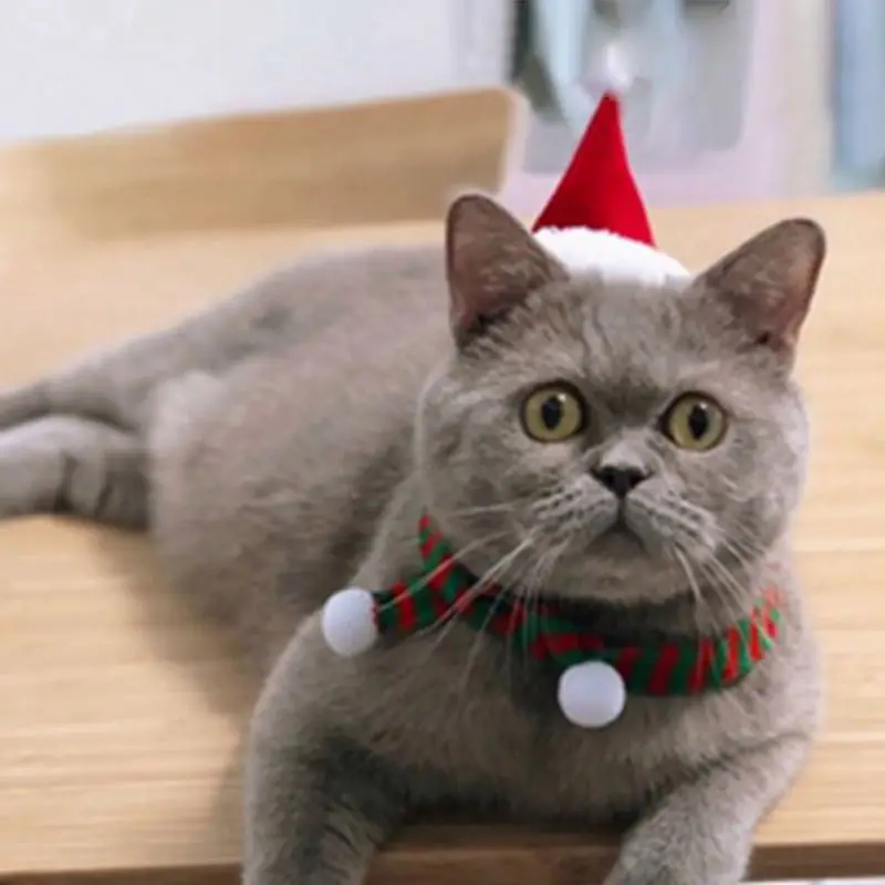 

Комплект рождественской шапки и шарфа для кошек, собак, щенков, зимняя Рождественская одежда, костюмы, подарок на Рождество, Санта, новый год