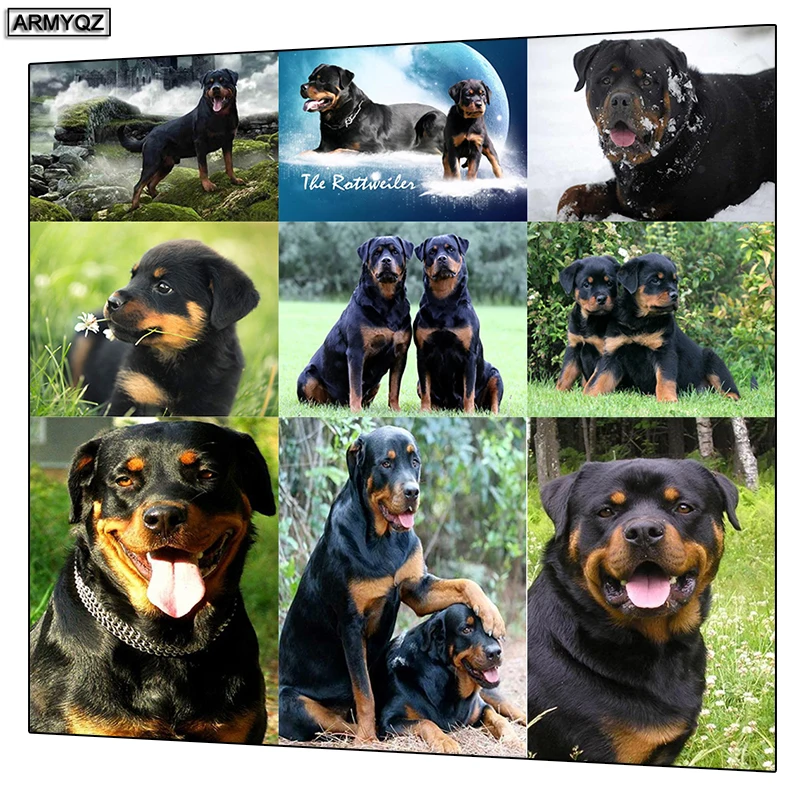 5d алмазная вышивка собака Ротвейлер 3d Алмазная картина крестиком милая мозаика