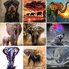 рисуй сам для рисования по номерам, хооби ,сложность 4 звезды, 24 цвета слон и собака картина по номерам на холсте купить в москве животные  оргинальный подарок размер 40x50 из россии отправить груз