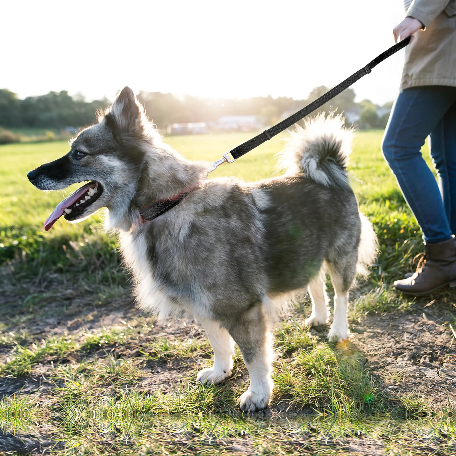 

Светоотражающий нейлоновый поводок для домашних животных и собак